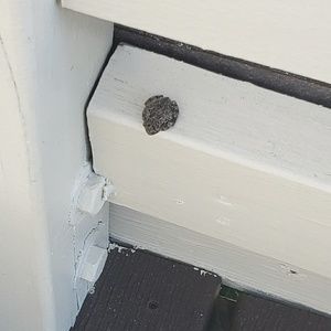 Meet your Posher, Mason